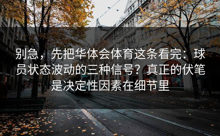 别急,先把华体会体育这条看完:球员状态波动的三种信号?真正的伏笔是决定性因素在细节里 别急,先把华体会体育这条看完:球员状态波动的三种信号?真正的伏笔是决定性因素在细节里