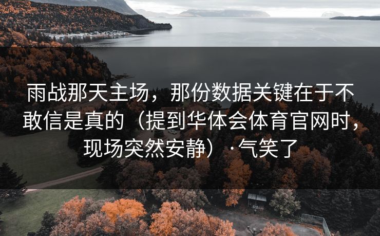 雨战那天主场，那份数据关键在于不敢信是真的（提到华体会体育官网时，现场突然安静）·气笑了