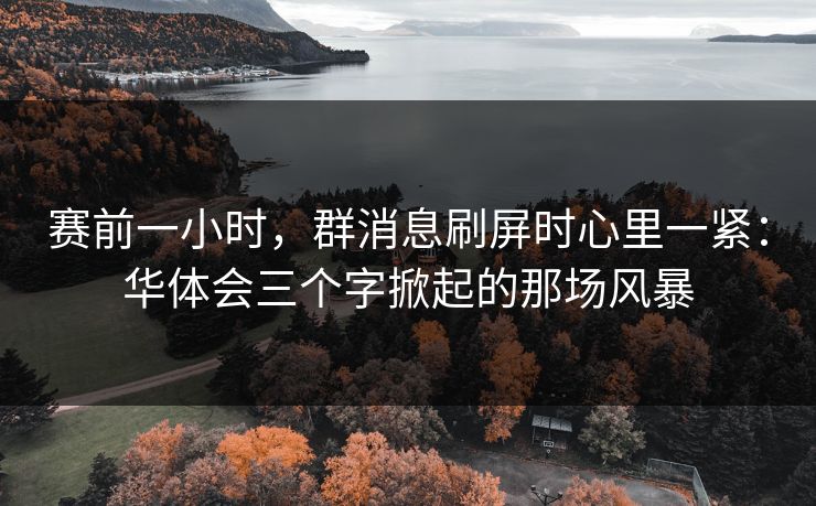 赛前一小时，群消息刷屏时心里一紧：华体会三个字掀起的那场风暴