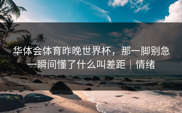 华体会体育昨晚世界杯，那一脚别急一瞬间懂了什么叫差距｜情绪