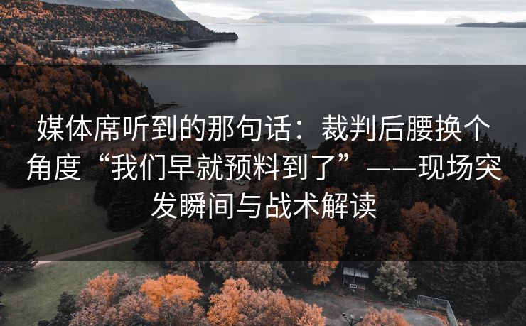 媒体席听到的那句话：裁判后腰换个角度“我们早就预料到了”——现场突发瞬间与战术解读